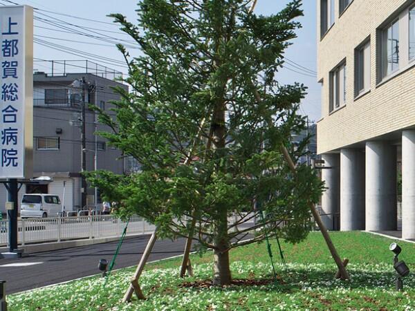 上都賀総合病院（パート）の介護職求人メイン写真3