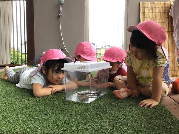 認可保育園コビープリスクールみさとたかの（常勤）の保育士求人サブ写真2