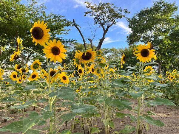 大多和医院(常勤)の理学療法士求人サブ写真2