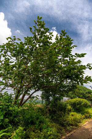 けあふるタウン日香里（パート）の介護職求人メイン写真4