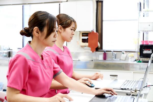 聖和病院（手術室外来兼務/常勤）の看護師求人メイン写真2