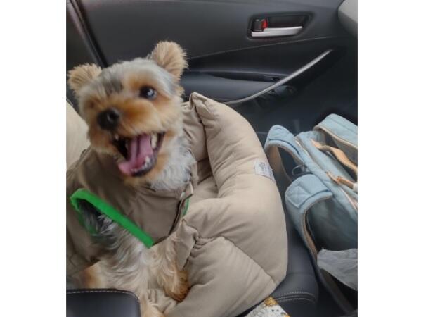 陽だまり看護ステーション（パート）の作業療法士求人サブ写真1