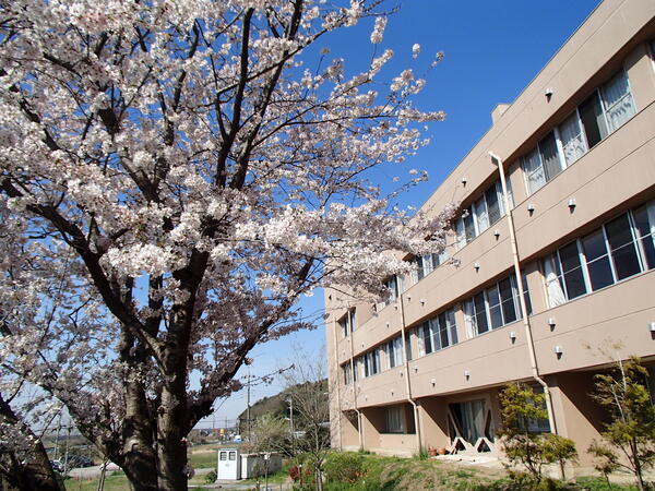 特別養護老人ホーム久遠苑（生活相談員/常勤）のケアマネジャー求人メイン写真3