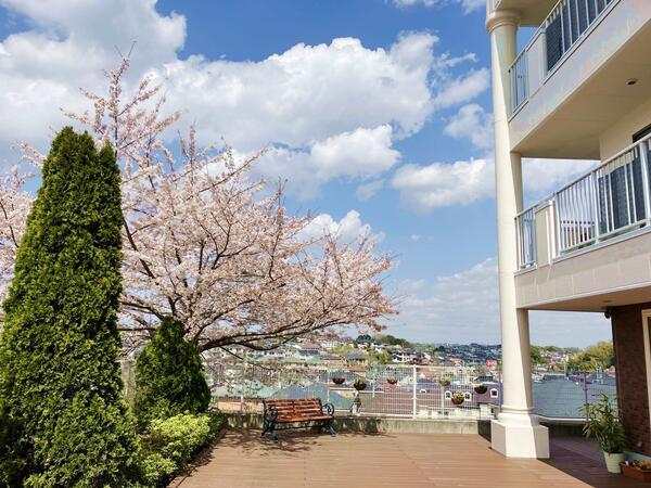 サニーステージ玉川学園（常勤）の介護職求人メイン写真4