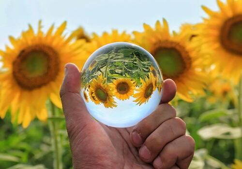 ひまわりネットワーク(パート)の介護職求人の写真