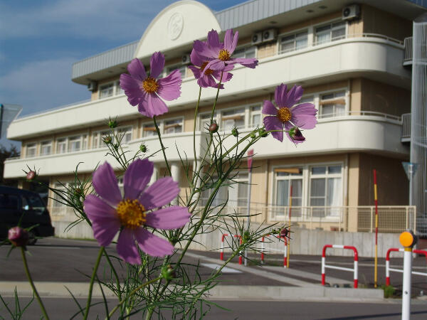 特別養護老人ホームすずらんの園（常勤）の看護師求人メイン写真2