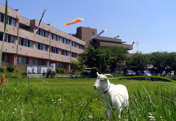 特別養護老人ホーム久遠苑（生活相談員/常勤）のケアマネジャー求人の写真