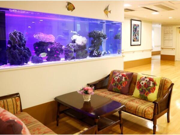 介護付き有料老人ホームカーロガーデン大塚（夜勤専従/パート）の介護福祉士求人メイン写真3