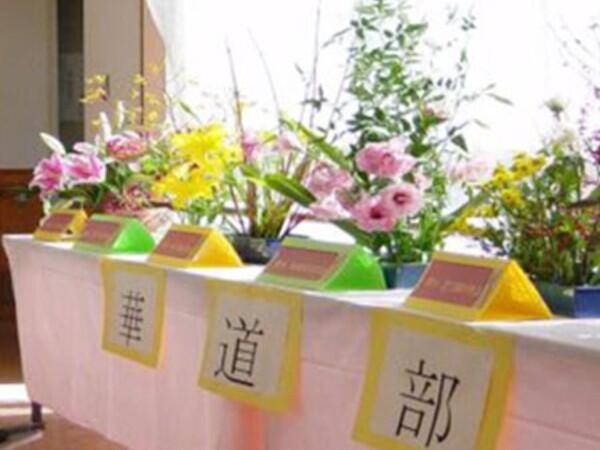 特別養護老人ホーム ナーシングヴィラ与野（生活相談員/常勤） のケアマネジャー求人メイン写真3