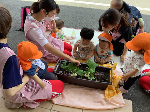 聖華マリン保育園(パート)の保育士求人の写真