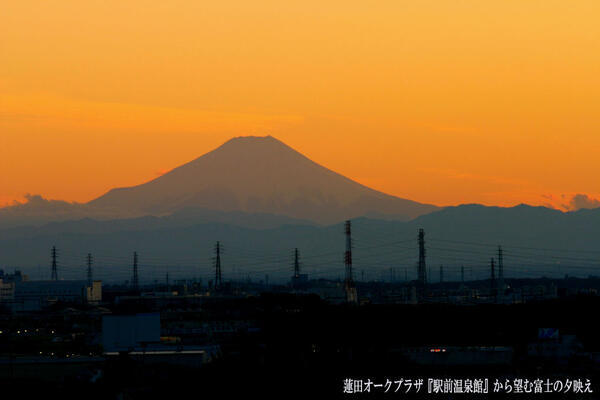 有料老人ホーム 蓮田オークプラザ 駅前温泉館(常勤)の調理師/調理員求人サブ写真2