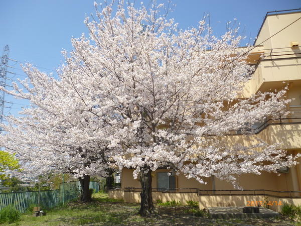 特別養護老人ホーム 港北みどり園（常勤）の准看護師求人メイン写真4