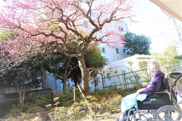 田柄特別養護老人ホーム（常勤）の介護福祉士求人メイン写真2