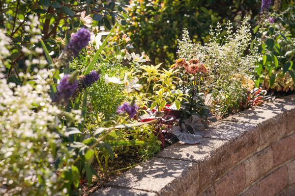 有料老人ホーム　蓮田オークプラザ 介護館（パート）の介護福祉士求人サブ写真2
