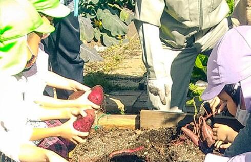 Jキッズルミネ北千住保育園（パート）の調理師/調理員求人の写真