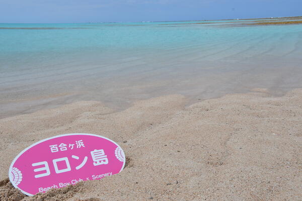 与論徳洲会病院（常勤）の理学療法士求人サブ写真2