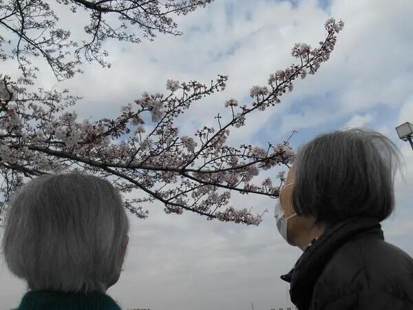 リハビリの家川口元郷（常勤）の介護職求人メイン写真2