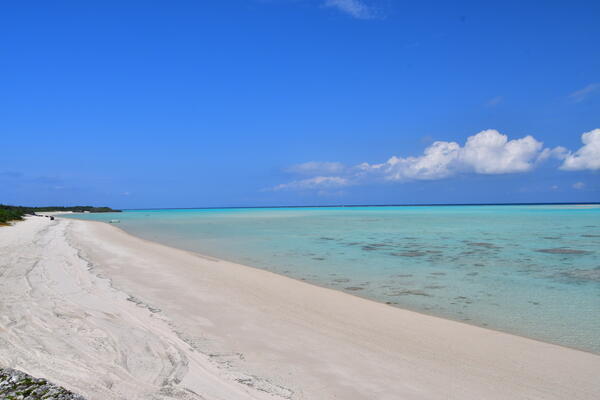 与論徳洲会病院（常勤）の薬剤師求人サブ写真1