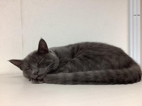 特別養護老人ホーム　大信「聖・虹の郷」（常勤）の管理栄養士求人サブ写真3