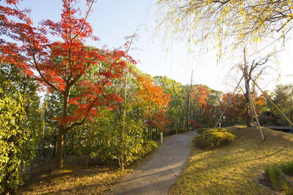医療法人社団　岡村医院（正職員）の医療事務求人サブ写真2