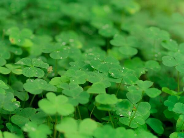 介護付有料老人ホーム　大王谷スカイホーム（パート）の看護師求人メイン写真3