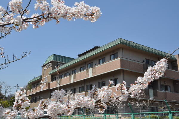 西宮市高齢者あんしん窓口塩瀬(主任ケアマネ/常勤)のケアマネジャー求人の写真