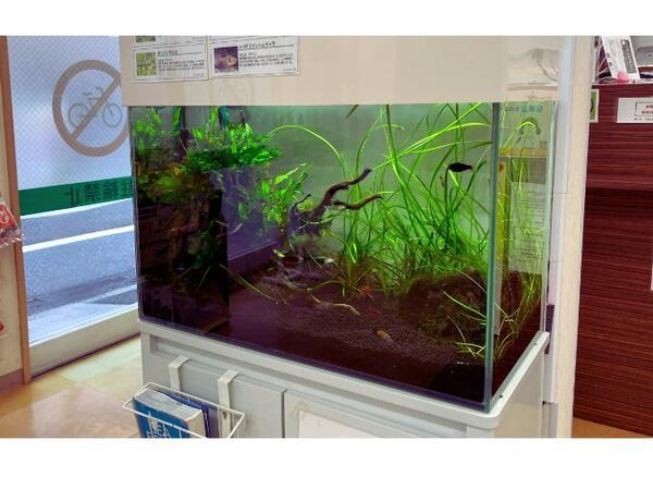 ゆう薬局 成増店（常勤）の医療事務求人メイン写真5