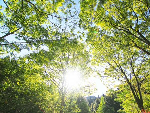 帯津三敬病院(パート)の薬剤師求人サブ写真1