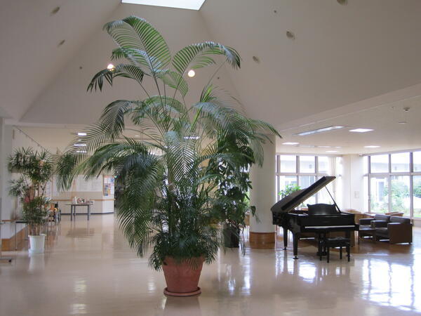 特別養護老人ホーム 悠楽園（常勤）の介護福祉士求人メイン写真2