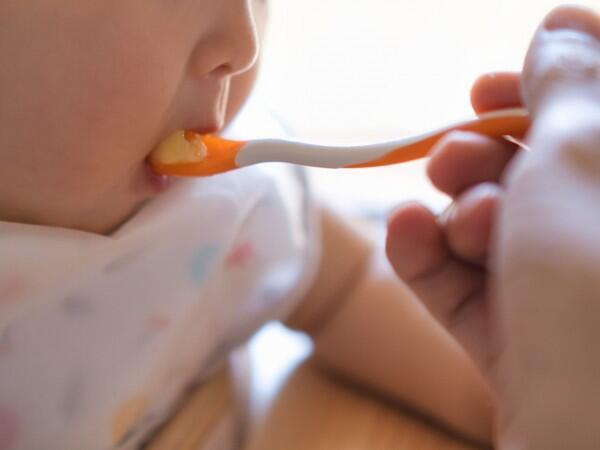 社会福祉法人あざみ会 どんぐり保育園（常勤）の管理栄養士求人メイン写真5
