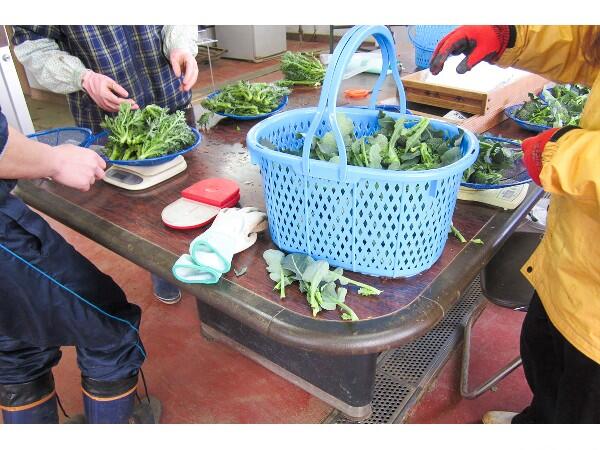 就労継続支援Ｂ型事業所 サニープレイスかんなみ（パート）の支援員求人メイン写真2