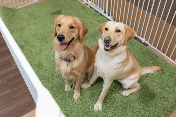 SheepLia壱号館（常勤）の看護助手求人メイン写真2