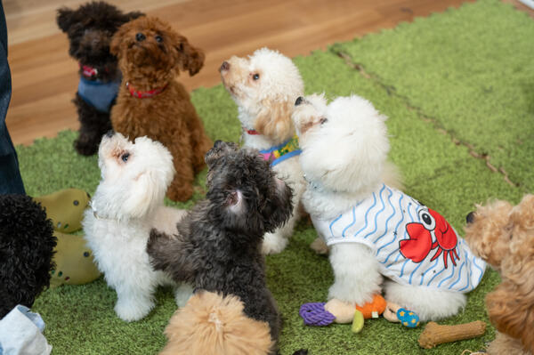 SheepLia壱号館（常勤）の看護助手求人メイン写真4