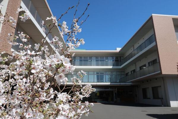 介護老人保健施設ハートランド大宮(常勤)の介護職求人の写真