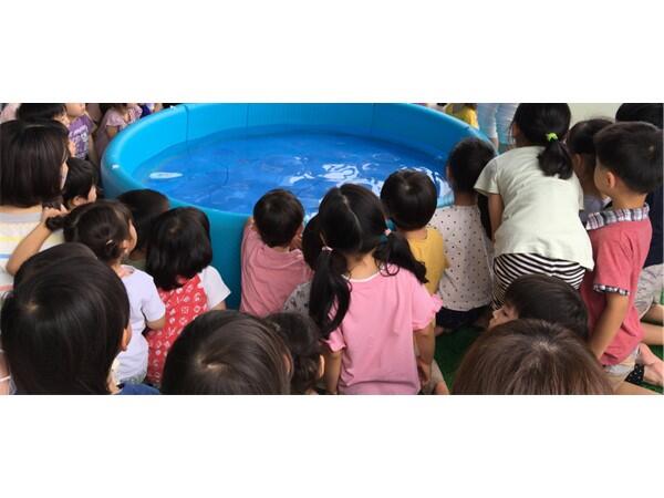 ソラストこうとう保育園（正社員）の看護師求人メイン写真5