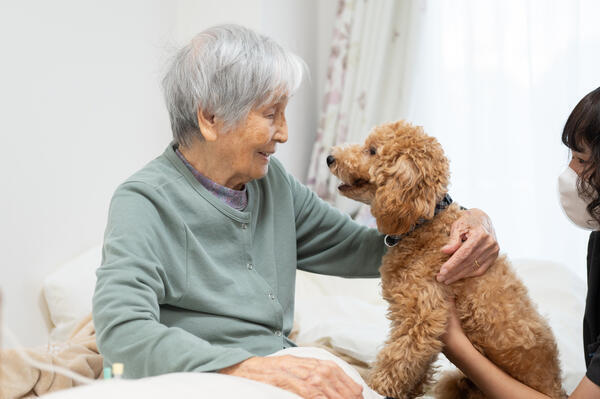 SheepLia壱号館（常勤）の看護助手求人メイン写真3