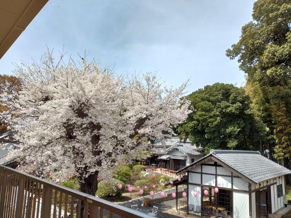 特別養護老人ホームはるぱてお大宮（パート）の介護福祉士求人メイン写真5