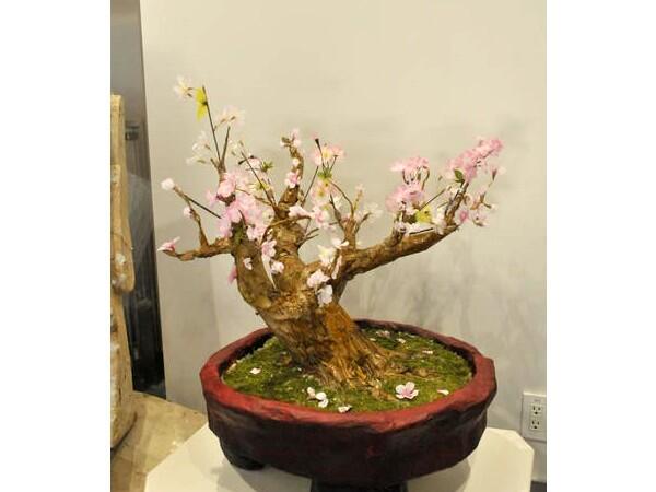 グループホーム扇苑深川（常勤）の介護職求人メイン写真2