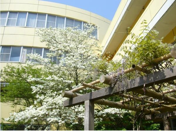 介護老人保健施設 めぐみ園(常勤)の理学療法士求人の写真