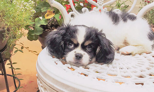 ショートステイ 花の生活館(パート)の介護職求人サブ写真5