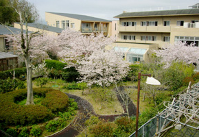 介護老人保健施設 春風（日勤常勤）の看護師求人の写真