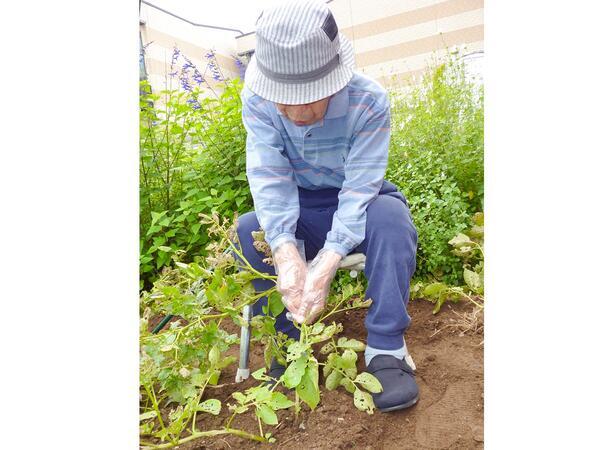愛の家グループホーム 上尾原市（パート）の介護福祉士求人の写真