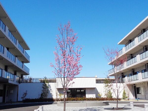 特別養護老人ホーム誠心園（パート）の介護職求人メイン写真2