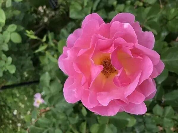 社会福祉法人福慶会　福田の里（常勤）の介護福祉士求人の写真