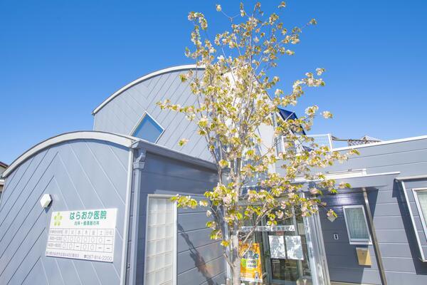 はらおか医院内科・循環器内科（パート）の医療事務求人の写真