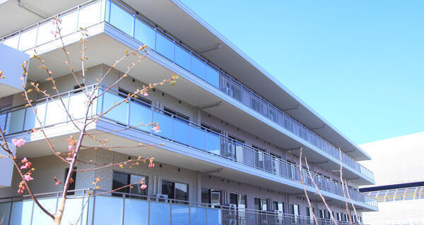 タムスさくらの杜道合（マネージャー/常勤）の一般事務求人の写真