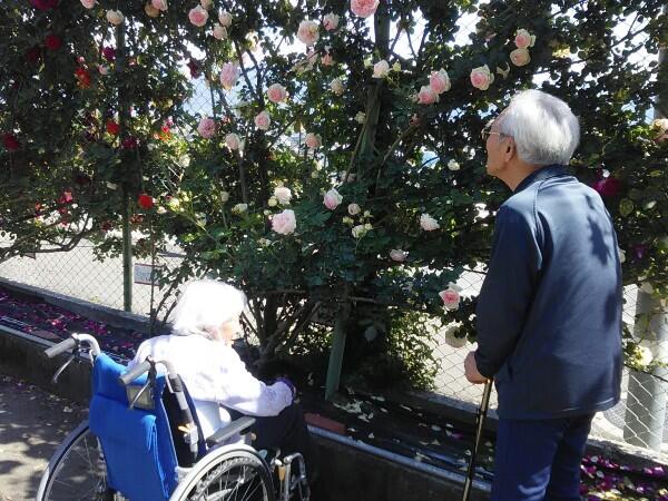 グループホーム　わがや（常勤）の介護福祉士求人メイン写真2