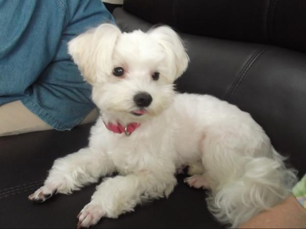 グループホーム 風の生活館（管理職候補/常勤）の介護福祉士求人の写真