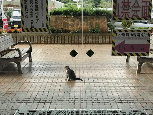 特別養護老人ホーム本部園(常勤)の看護師求人サブ写真2