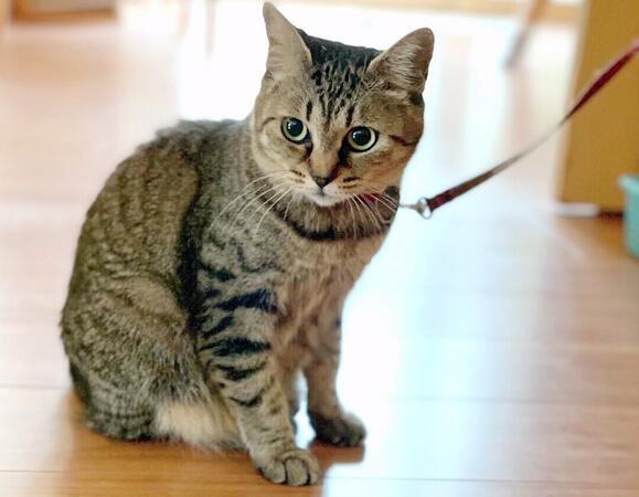 グループホーム風鈴花（パート）の介護職求人の写真